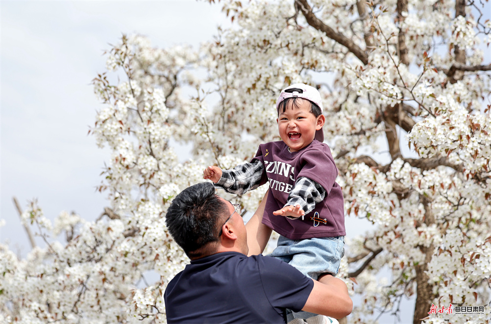 ����ũ���ںϸ����������