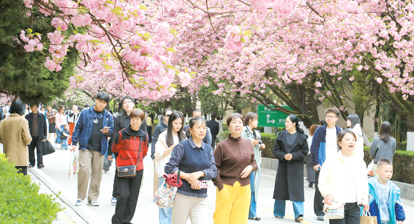 ���� ӣ������������