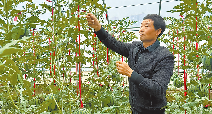 ��ϣ������Ұ��