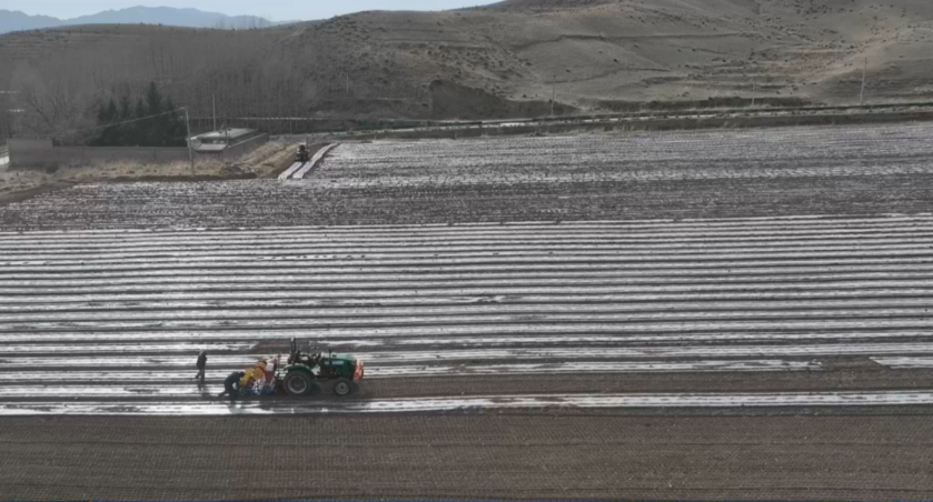 �Ƽ����� �ô������ܸ���Ч