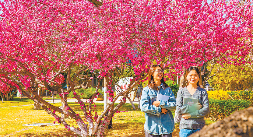 ����ѧԺУ���������� ����������Ϣ