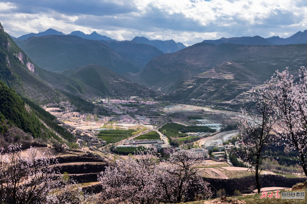 ʫ����´ˮ�廨�� ���ִ���ʢ������