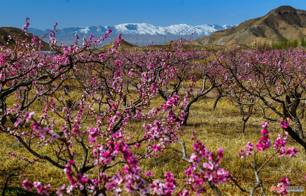 ��̩:���澺�޻洺�� ѩɽӳ��������