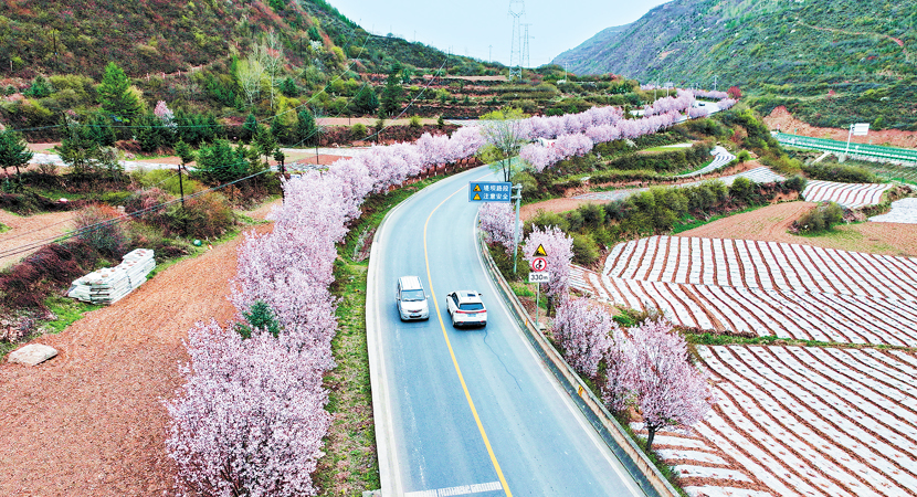 崲��Ϻ�����212������;���ⰻȻ