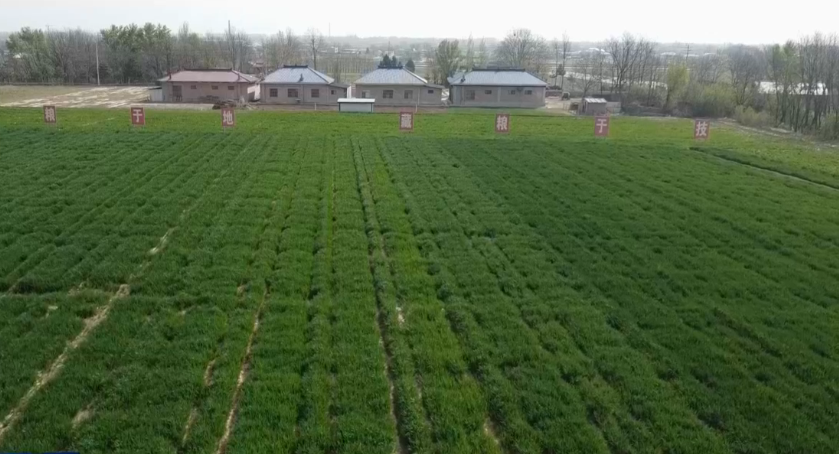 ����ʡ������ץ�������ܹؼ��� ȫ��������ʳ����