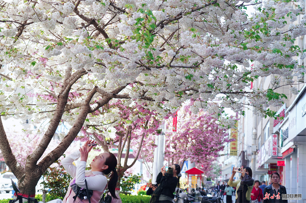 ���ͣ�ӣ��ʢ�������� С�Ǵ��վ�����