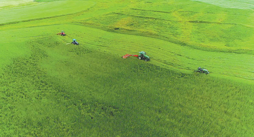 ��ش���ȫ�����èβ����ֲ�ӹ�����