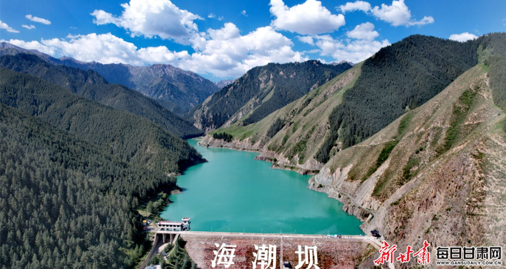 ����֯����̬���� �ǻ��ػ���������