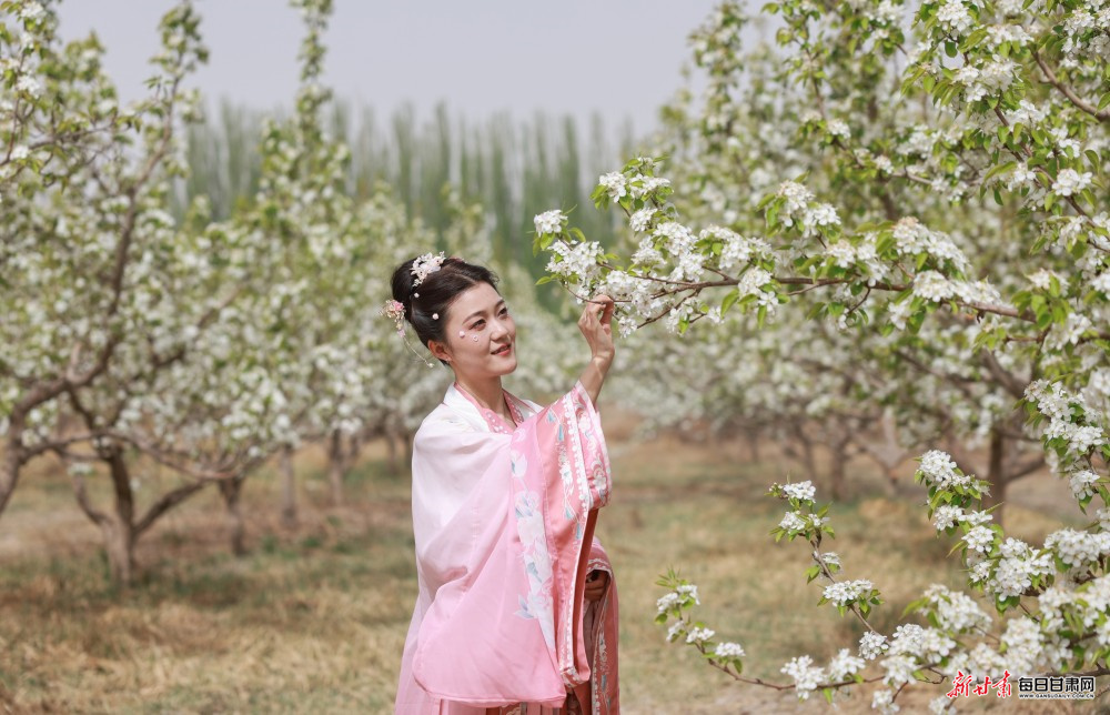 ����������ͥ�������������滨ʢ��������