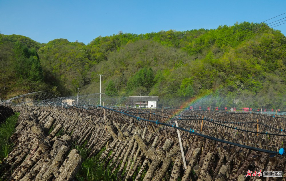 ����:��ɽ֯���̽��� ���蹲��������