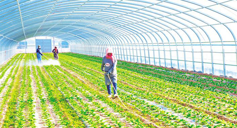 ������׳��弯�徭�� ������ҵ����