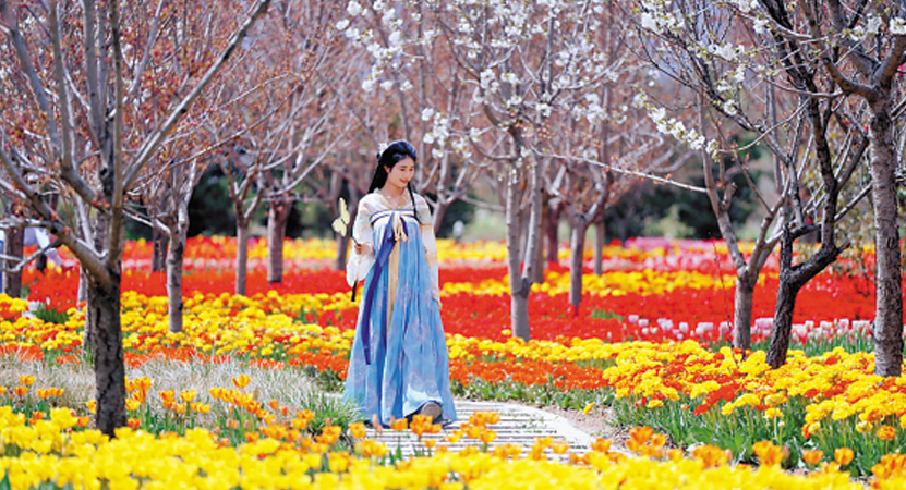 ���ع���ɽֲ��԰������������ε�����