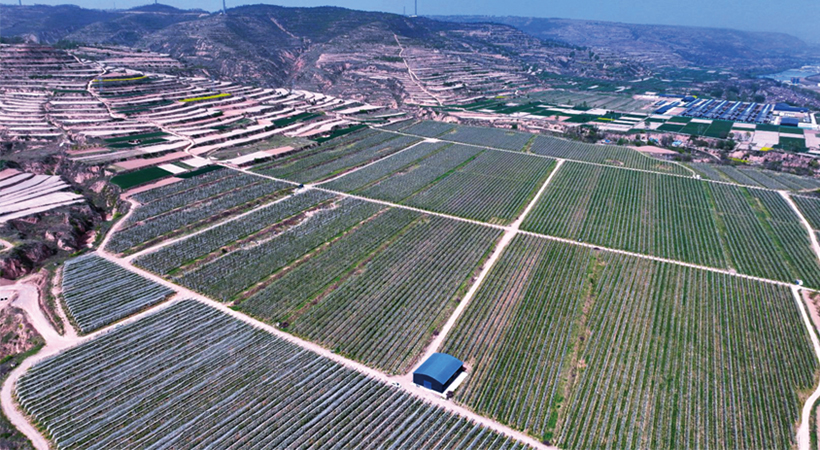 ������ͭ��ܫ��ӭ��ƻ����ʢ����