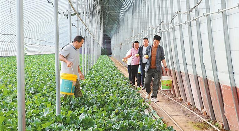 ���������������ο�������԰��Ȥ