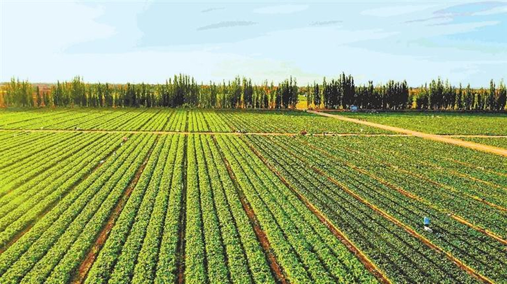 ���������𴺹� ������޻��¾�