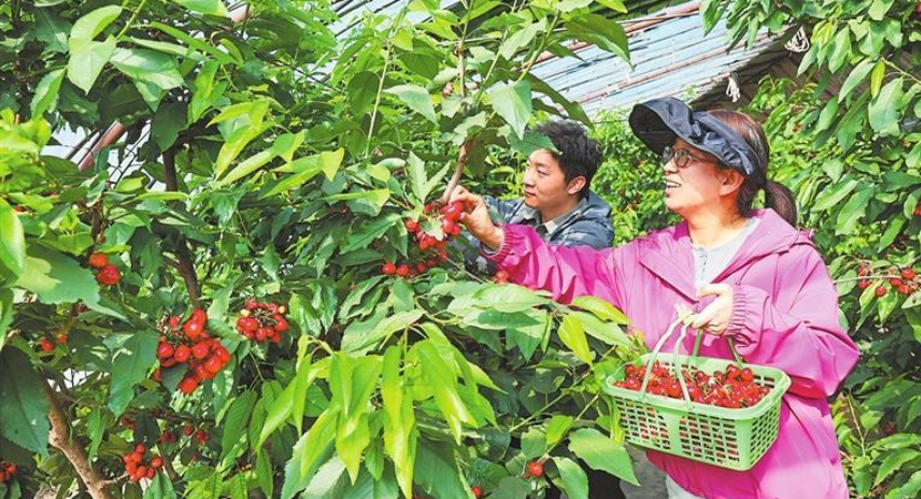 �����ذ���������ӣ�ҳ���