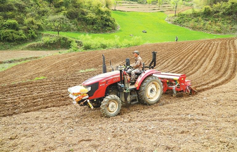 徽县：科技助力 高山粮田增效