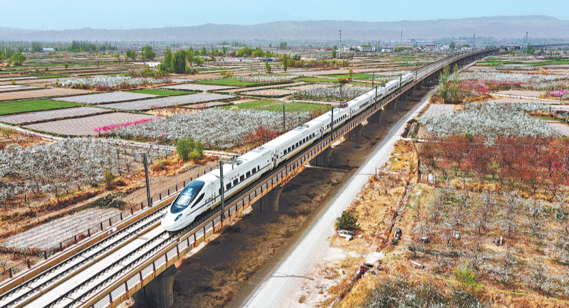 ��������ʯ�Ŵ�300��Ķ�滨ӭ��ʢ����