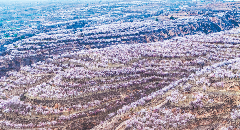 �����͡����꾪�������