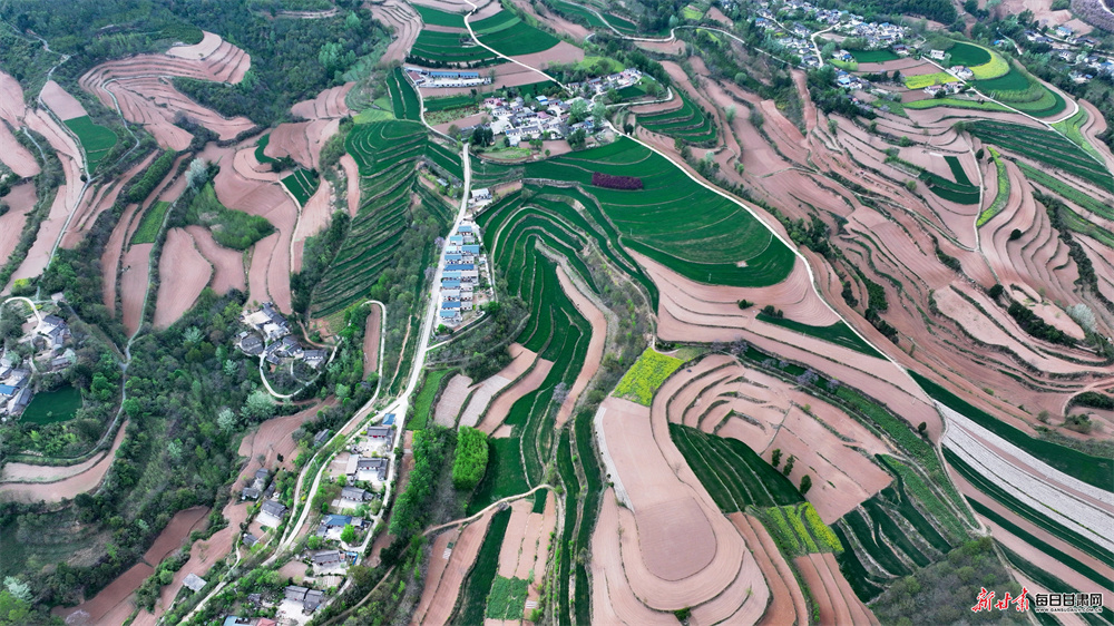 ����:������������� ��������뻭��