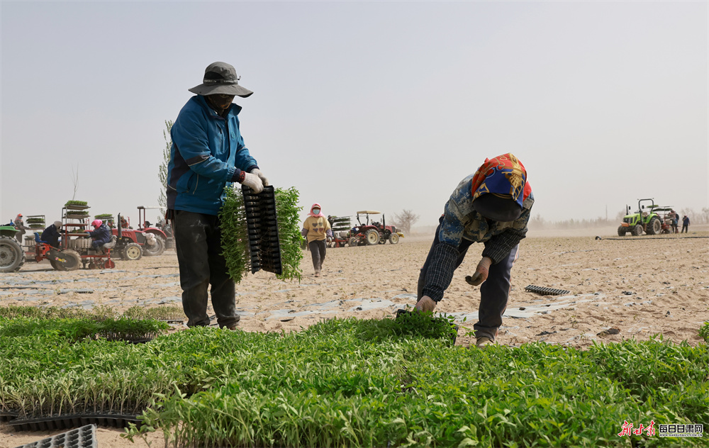 ����:�������Ի�е�� �Ƽ���ũ����æ