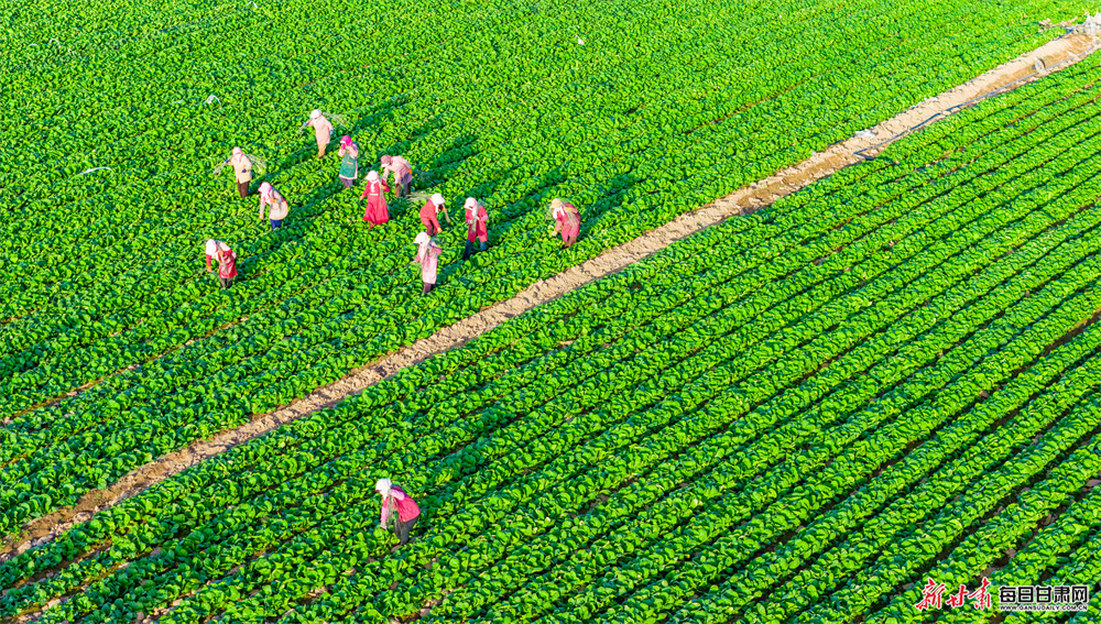 ����:���վ�ϸ�ܻ�æ �߲��Ȳ�������