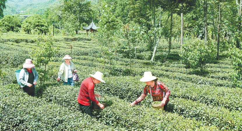 �����������ũ�ǲ�ժ����