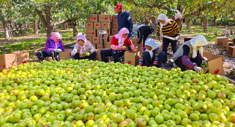 ���ֻ�����������ͼ��