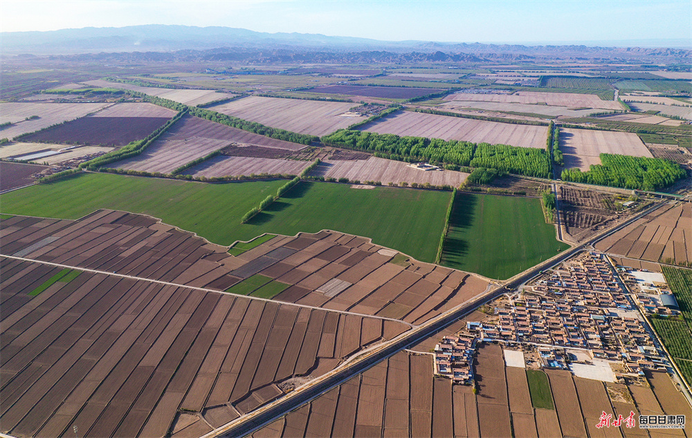 ƽ����Ұɫ��� ĺ����̩���续