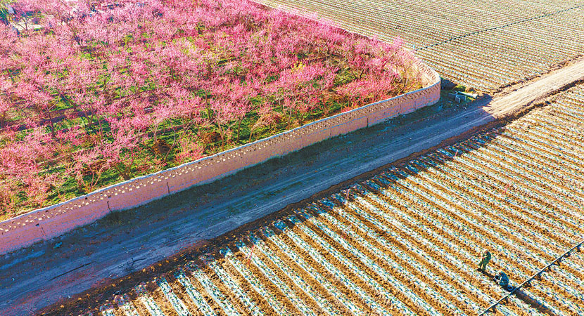 ��Ҵũ����Ա���ι�� ȷ����׼���