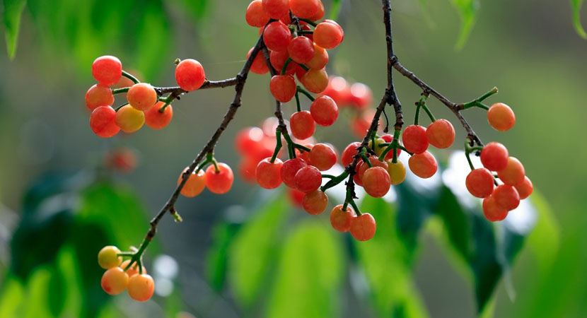 ӣ���޺� �䶼ʯ��ׯ����԰���𱼸�·