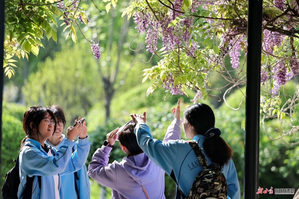 ������������ ���������ػ�