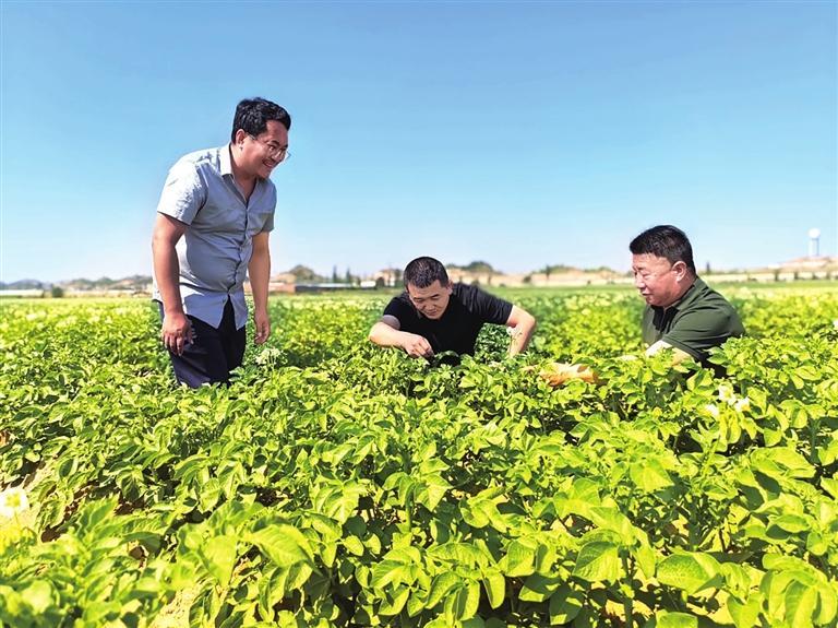 兰州新区：“临港中川”擘画振兴新画卷