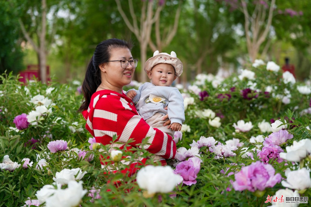 ������ĵ�������� ����������