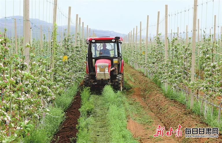 【图片新闻】静宁县城川镇靳寺村村民驾驶农机松土施肥