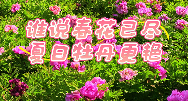 ����������������Ъ��Ψ��ĵ��ѹ��ǳ�