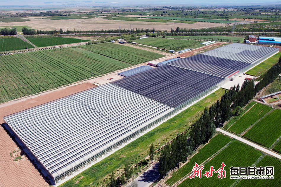 民乐：全链发展马铃薯产业 擦亮“甘味”农业金字招牌