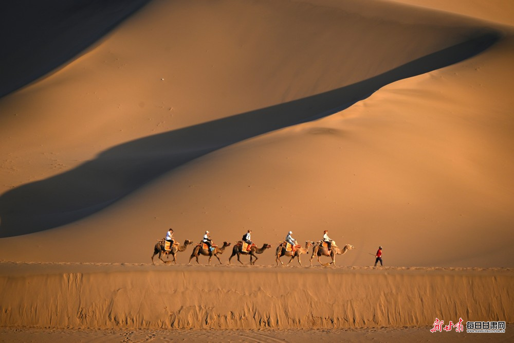 �ػ���ɳɽ������ѧ�Ż����˷���