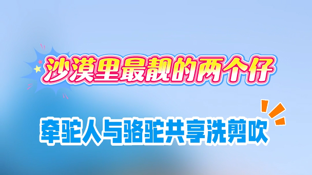 ǣ���������չ���ϴ�������ػ�ɳĮ��������������