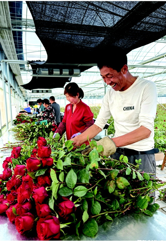 天水市秦州区田于村：花香引路 村富民乐