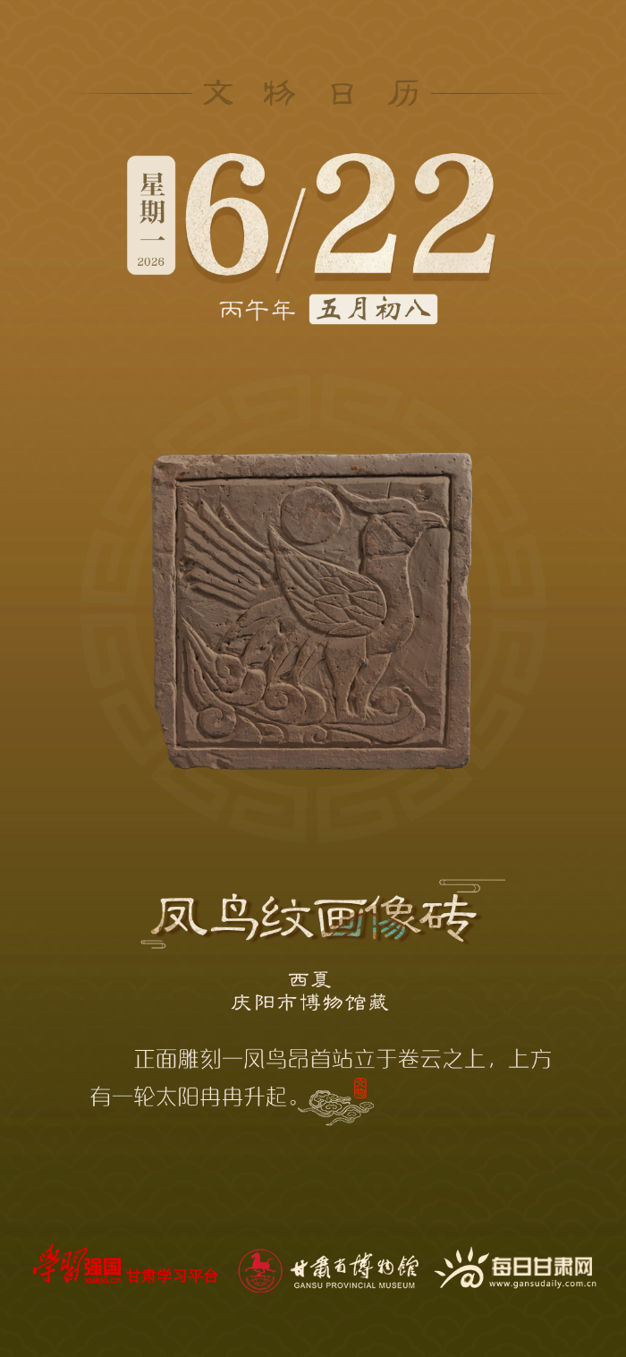 �������� | 6��22�գ������ƻ���ש
