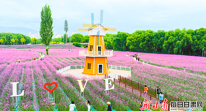 ����Ͽ��ƺӻ������޲�ӭ��ʢ����