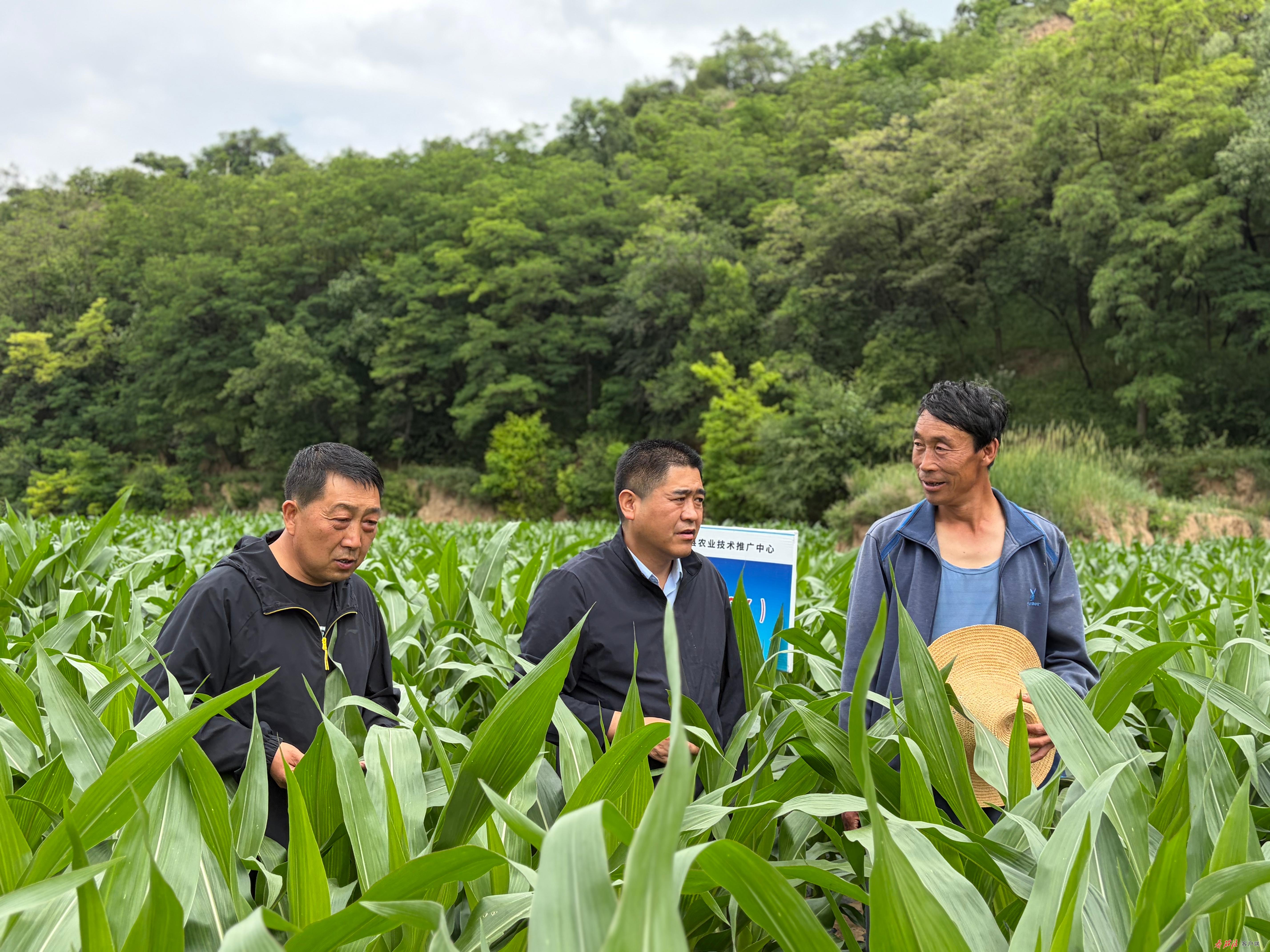 ���ҵ��뵳���¡�������������� ����Ϊ������ա��� ��ȫʡ���㹲����Ա�����