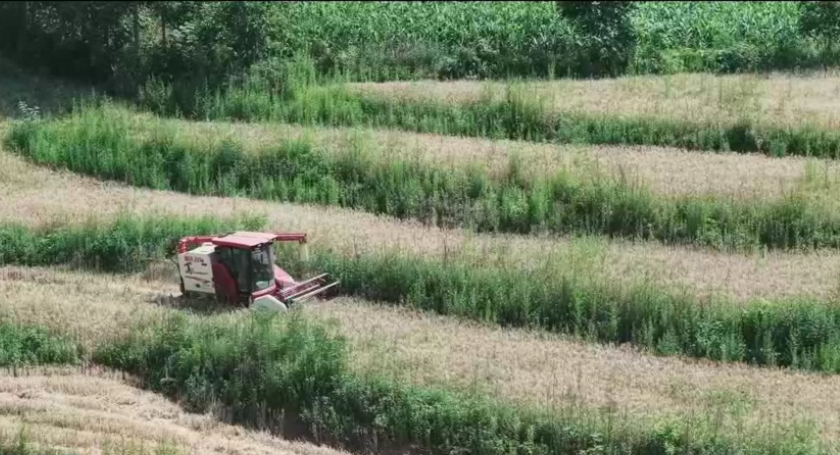 ����ʡ����ȫ��չ��