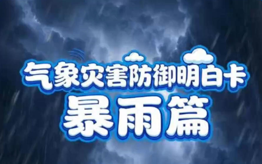 ���ƽ�� �ҵ��ڴ� | �����ֺ��������׿� ������ƪ��