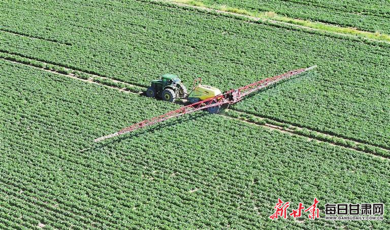 【图片新闻】民乐:农民驾驶植保机进行马铃薯管护作业
