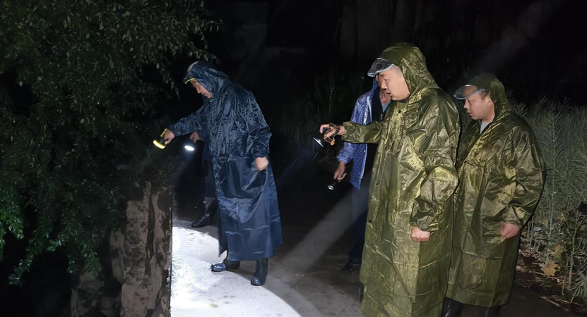 ������ȫ��Ӧ�Ա�������