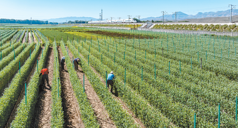 ��ף�ػ��������ԭ�Ĳ˽����ժ��