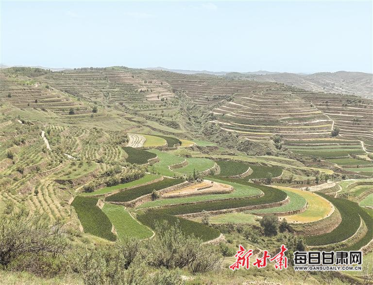 榆中现代寒旱农业粮食产业示范基地发展的启示——智慧种田 增产增收