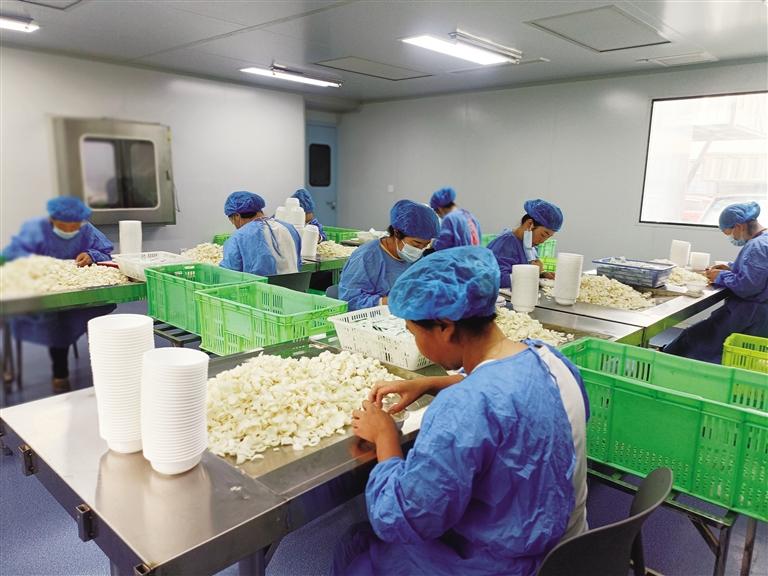 第六批“甘味”品牌认定和分级培育结果发布 截至目前共认证55个区域品牌和900个企业商标品牌